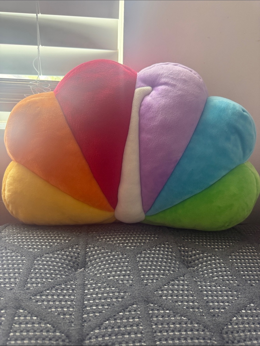 NBC Peacock pillow